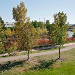 View of the river and walking path surrounded by trees and other vegetation.