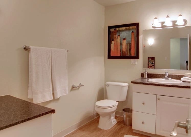 View of toilet and vanity in bathroom from the doorway.