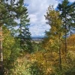 View of trees in the foreground under a cloudy blue sky.