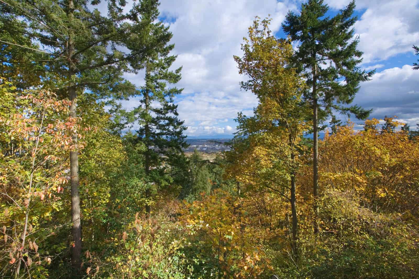 View of trees in the foreground under a cloudy blue sky.