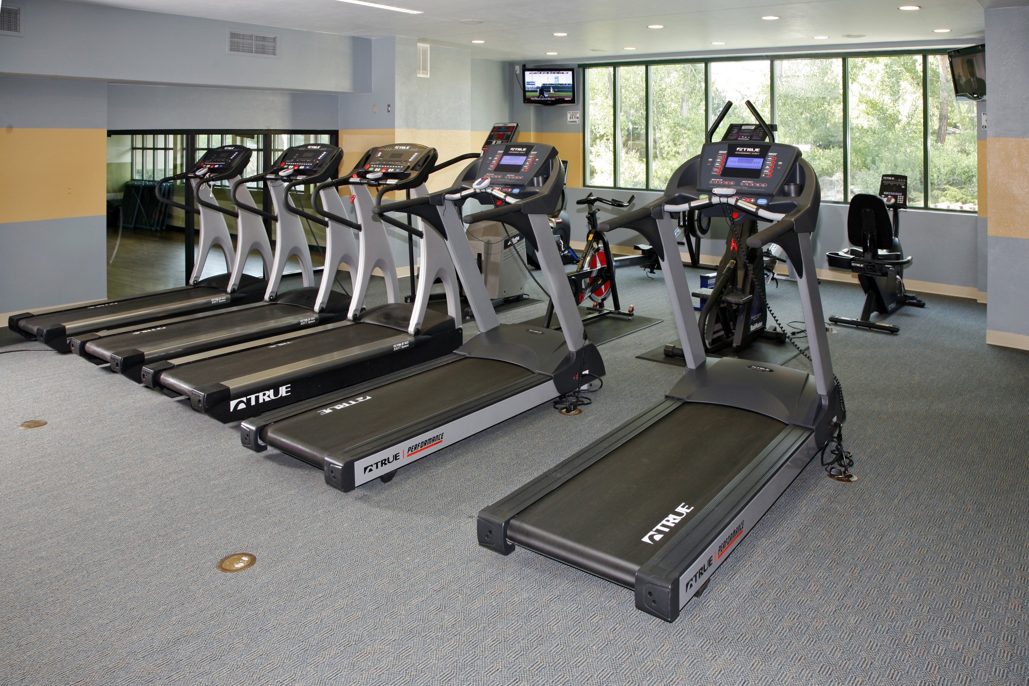 Fitness center with cardio equipment.