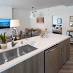 Modern open kitchen