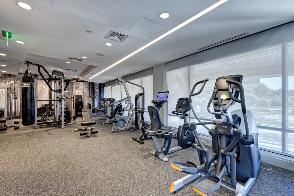 Fitness room with exercise machines