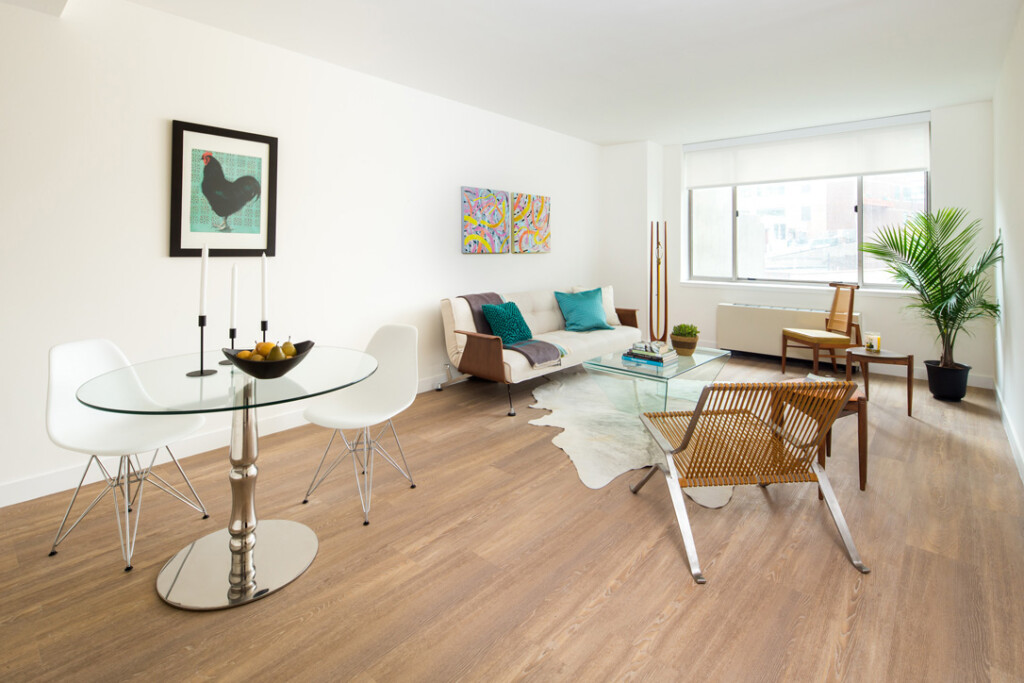 Modern apartment interior with midcentury modern furnishings