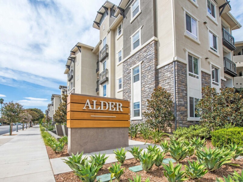 Street-level exterior of Alder sign with apartment building to right and tree-lined street to the left