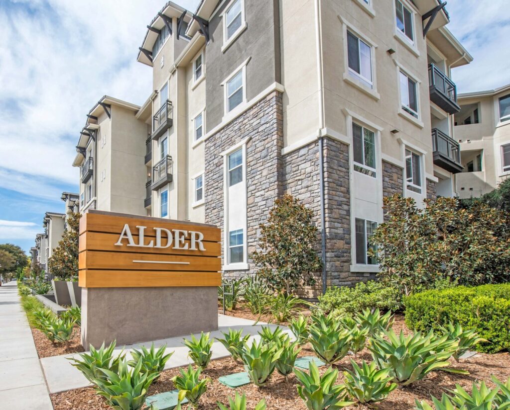 Alder Featured Image Aspect Ratio 633 510