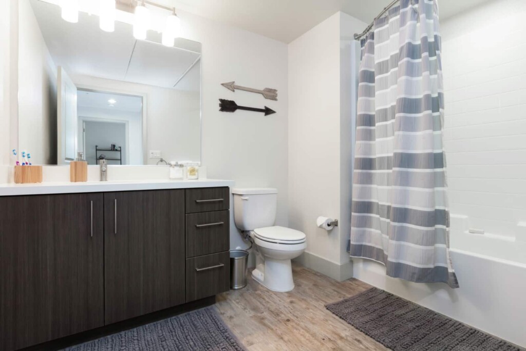 Apartment bathroom with shower, toilet and vanity.